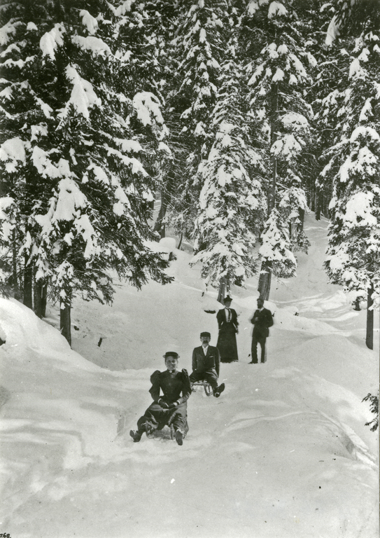 Sledging in Davos in 1890